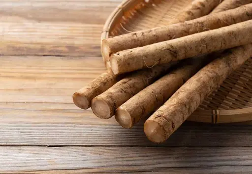 Burdock root vegetable also known as Gobo
