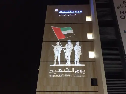 High-Definition Flag Projection for Official Events