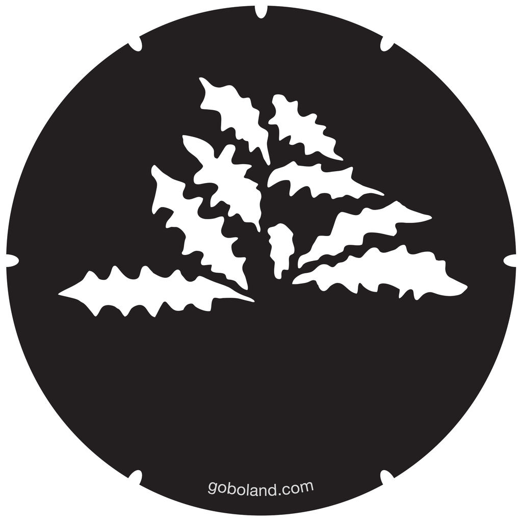 2 260 036 - Dandelion