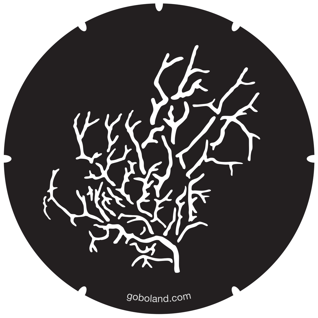 2 260 044 - Wicked Branches