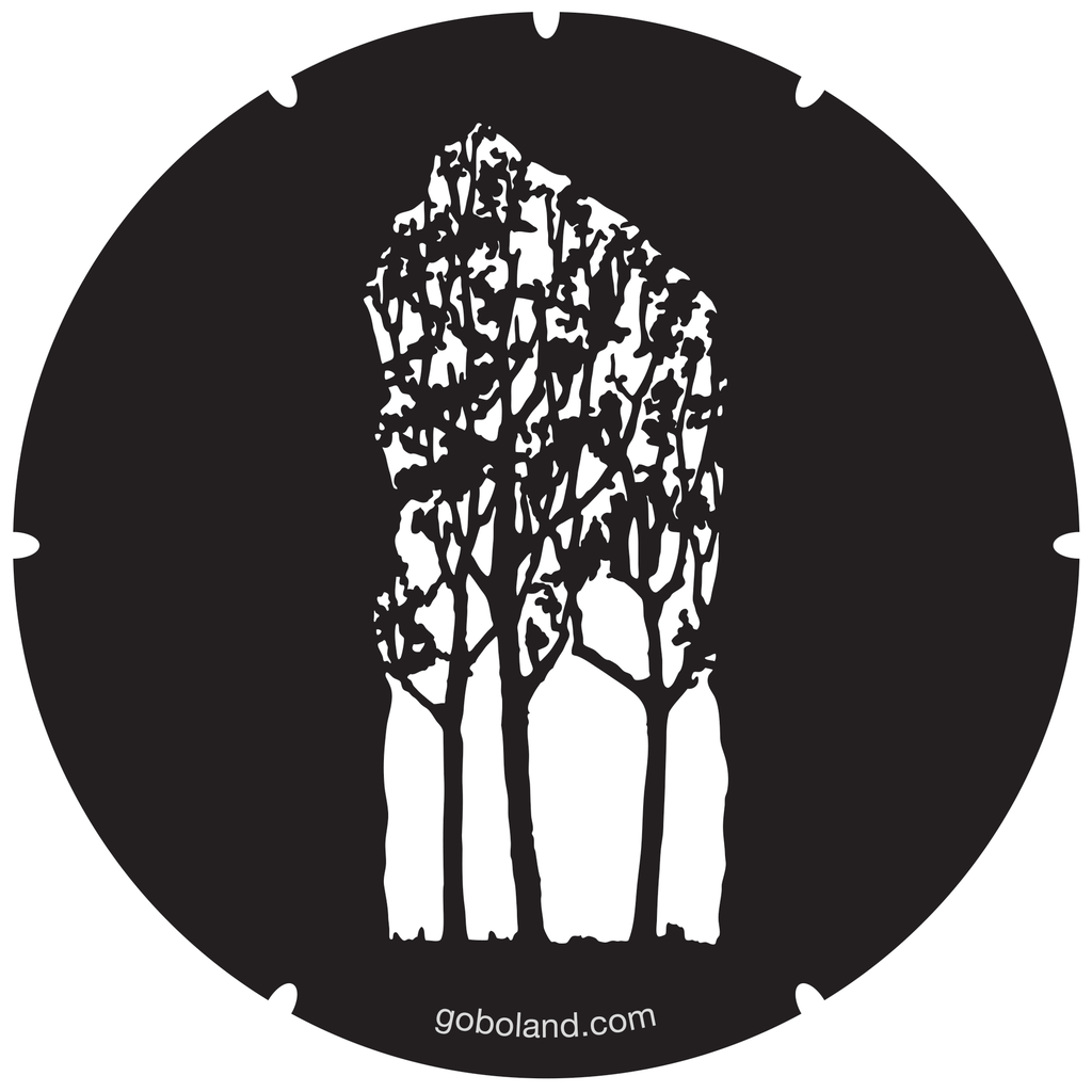 2 261 001 - Autumn Tree