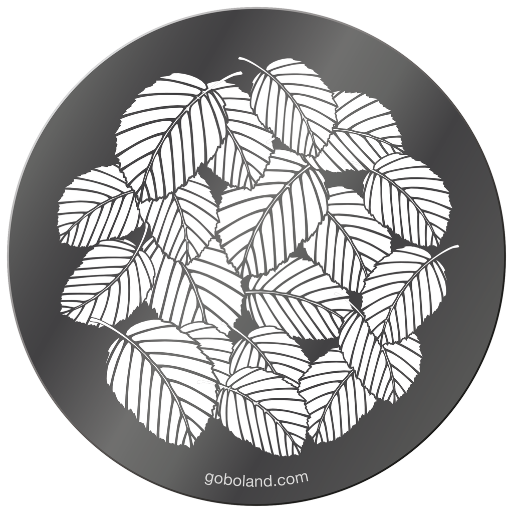 1 260 007 - Beech Leaves Large