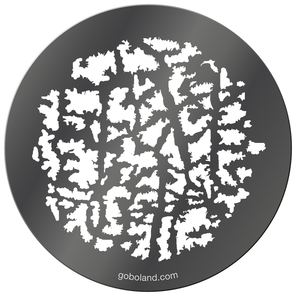 1 260 047 - Forest Branches