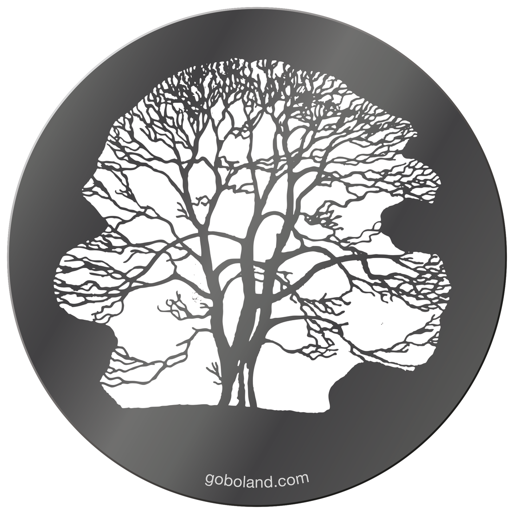 1 261 014 - Winter Tree