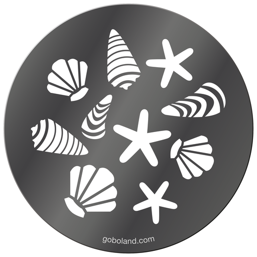 1 250 031 - Sea Shells 2