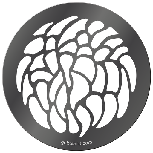 1 270 000 - Globulous