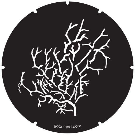 2 260 044 - Wicked Branches