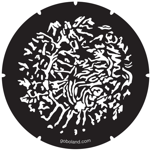 2 271 111 - Scorpionfish